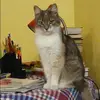 Отзыв от Элла Добрынина